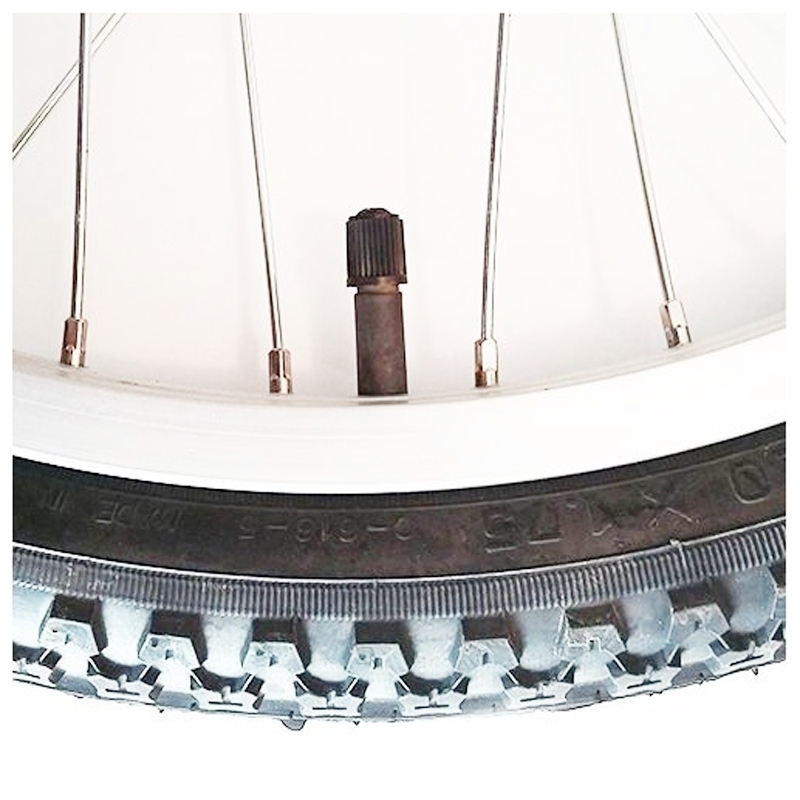 ARCADE Roue 20'' Pour Tricycle Ou Caisse à Savon – Image 2